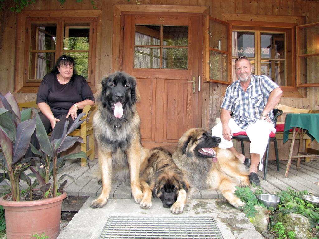Steinschalerhof Hotel Warth  ภายนอก รูปภาพ